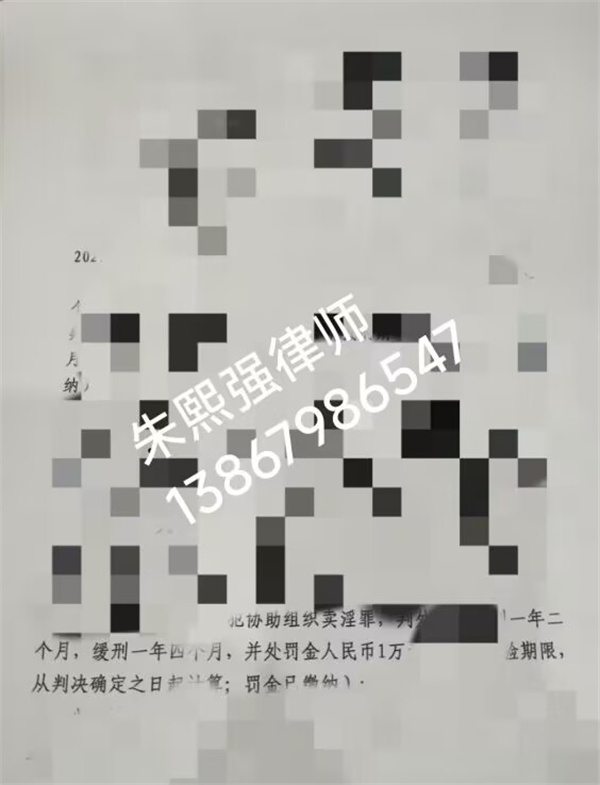 谭某某协助组织卖淫案:缓刑辩护